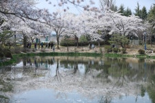 경주시 관광자원 영상이미지 - 이미지 다운로드 >경주 여기 저기 >보문관광단지권