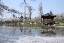 경주시 관광자원 영상이미지 - 이미지 다운로드 >경주 여기 저기 >보문관광단지권