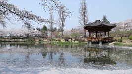 경주시 관광자원 영상이미지 - 이미지 다운로드 >경주 여기 저기 >보문관광단지권