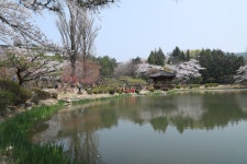 경주시 관광자원 영상이미지 - 이미지 다운로드 >경주 여기 저기 >보문관광단지권