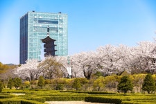 경주시 관광자원 영상이미지 - 이미지 다운로드 >경주 여기 저기 >보문관광단지권