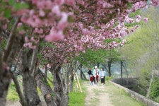 경주시 관광자원 영상이미지 - 이미지 다운로드 >경주 여기 저기 >보문관광단지권