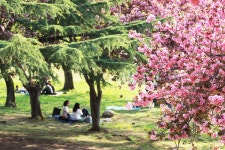 경주시 관광자원 영상이미지 - 이미지 다운로드 >경주 여기 저기 >불국사권