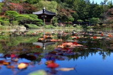 보문정 | 보문관광단지권 | 권역별 관광지 | 경주 여행 | 경주문화관광 경주문화관광