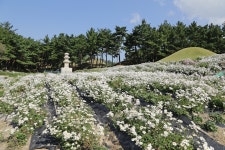 서악동 삼층석탑 | 서악,북부권 | 권역별 관광지 | 경주 여행 | 경주문화관광 경주문화관광
