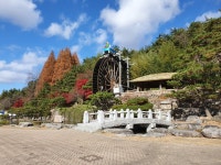 보문 물레방아 광장 | Home | 경주 여행 | 권역별 관광지 | 동아시아 문화도시 2022 경주 동아시아 문화도시 2022 경주