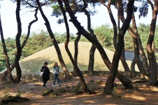 선덕여왕릉 | 시내권 | 권역별 관광지 | 경주 여행 | 경주문화관광 경주문화관광