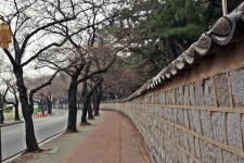 대릉원 돌담길 | 시내권 | 권역별 관광지 | 경주 여행 | 경주문화관광 경주문화관광