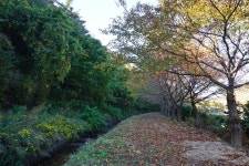숲머리뚝방길 | 보문관광단지권 | 권역별 관광지 | 경주 여행 | 경주문화관광 경주문화관광