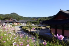 기림사 | 동해안권 | 권역별 관광지 | 경주 여행 | 경주문화관광 경주문화관광