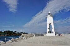 감포항 | 동해안권 | 권역별 관광지 | 경주 여행 | 경주문화관광 경주문화관광