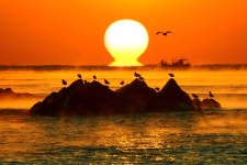 문무대왕릉 | 동해안권 | 권역별 관광지 | 경주 여행 | 경주문화관광 경주문화관광