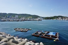 감포항 | 동해안권 | 권역별 관광지 | 경주 여행 | 경주문화관광 경주문화관광