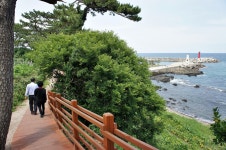 경주 양남 주상절리 | 동해안권 | 권역별 관광지 | 경주 여행 | 경주문화관광 경주문화관광