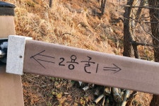 전촌 용굴(사룡굴, 단용굴) | 동해안권 | 권역별 관광지 | 경주 여행 | 경주문화관광 경주문화관광