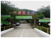 경주시 관광자원 영상이미지 - 이미지 다운로드 >행사,축제 >신라문화제