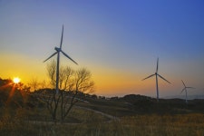 불국사권 | 권역별 관광지 | 경주 여행 | 경주문화관광 경주문화관광