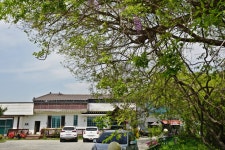 등나무갤러리식당 | 전체 | 음식점 | 음식 | 경주문화관광 경주문화관광