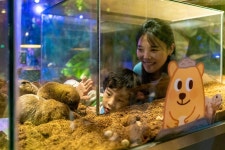 경주 명활성 | 사적 | 국가지정국가유산 | 분류별 국가유산 | 국가유산·역사 | 경주문화관광 경주문화관광