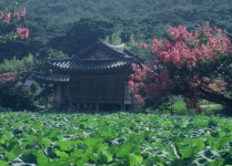 경주시 관광자원 영상이미지 - 이미지 다운로드 >국가지정 >보물