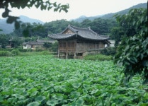 경주시 관광자원 영상이미지 - 이미지 다운로드 >국가지정 >보물