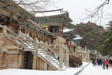 경주시 관광자원 영상이미지 - 이미지 다운로드 >경주의 사계_2019 >겨울