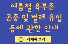 화랑마을