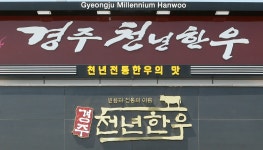 (글보기)경주시 천년한우 가맹점 실태점검 | 경주시정뉴스 - 시정소식 >시정포커스