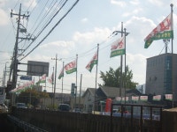 글목록 | 경주시정뉴스 - 시정소식 >많이본기사