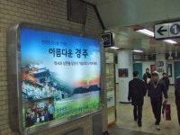 글목록 | 경주시정뉴스 - 시정소식 >많이본기사