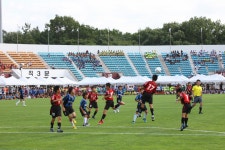 (글보기)2010화랑대기전국초등학교유소년축구대회 | 경주시정뉴스 - 시정소식 >최신기사