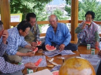 글목록 | 경주시정뉴스 - 시정소식 >많이본기사