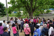 글목록 | 경주시정뉴스 - 시정소식 >많이본기사