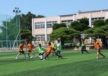 글목록 | 경주시정뉴스 - 시정소식 >많이본기사