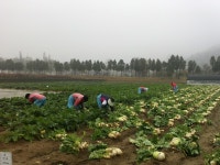 글목록 | 경주시정뉴스 - 시정소식 >많이본기사