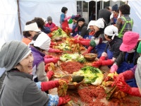 (글보기)임정사, 안강 천주교회 김장김치 담그기 행사 | 경주시정뉴스 - 시정소식 >최신기사