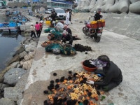 글목록 | 경주시정뉴스 - 시정소식 >많이본기사