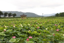 글목록 | 경주시정뉴스 - 시정소식 >많이본기사
