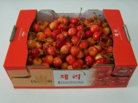 (글보기)체리품질고급화, 봄부터 구슬땀 | 경주시정뉴스 - 포토뉴스 >포토뉴스