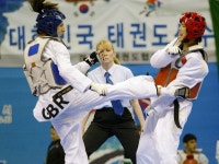 글목록 | 경주시정뉴스 - 시정소식 >많이본기사