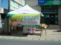 글목록 | 경주시정뉴스 - 시정소식 >많이본기사