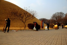 (글보기)클린 경주, 문화 관광 경주, 설맞이 사적지 환경정비 | 경주시정뉴스 - 포토뉴스 >포토뉴스