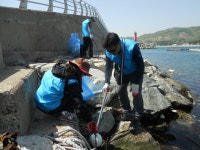 글목록 | 경주시정뉴스 - 시정소식 >많이본기사