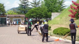(글보기)화랑대기 전국초등학교 유소년 축구대회 손님맞이 사적지 환경정비 | 경주시정뉴스 - 시정소식 >최신기사