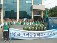 (글보기)건천 새마을남여지도자협의회 경로당 수박 전달 | 경주시정뉴스 - 시정소식 >최신기사