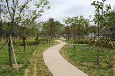 (글보기)황성공원 입구 도시숲 조성 | 경주시정뉴스 - 시정소식 >최신기사