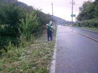 (글보기)현곡면 새마을남·여지도자 가로변 환경정비 사업 구슬땀 흘려.... | 경주시정뉴스 - 시정소식 >최신기사