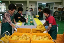 글목록 | 경주시정뉴스 - 시정소식 >많이본기사