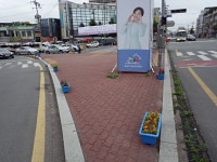 (글보기)황오동, 쾌적한 환경 조성사업 시행 | 경주시정뉴스 - 읍면동소식 >읍면동소식