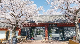 매거진 경주